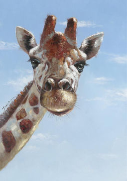 Picture of Giraffe Face 28X48