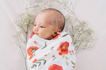 Picture for category Cotton Muslin Swaddles