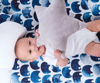 Picture of Silver Star Dream Pillow