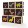 Picture of Dinosaur Blocks