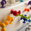 Picture of Squigz- Deluxe Set - 50 piece set