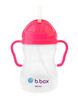 Picture of Sippy Cup - Pink Pomegrante
