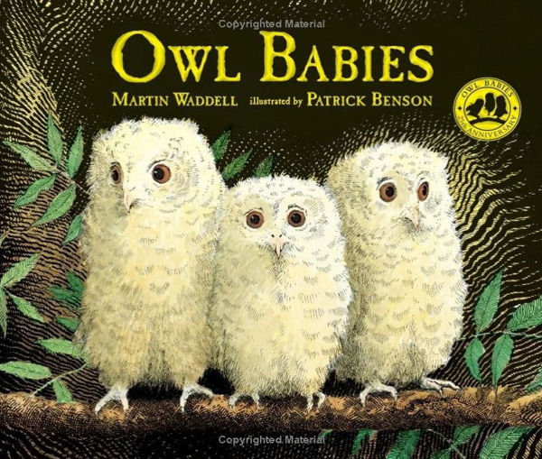 Picture of Owl Babies - board book