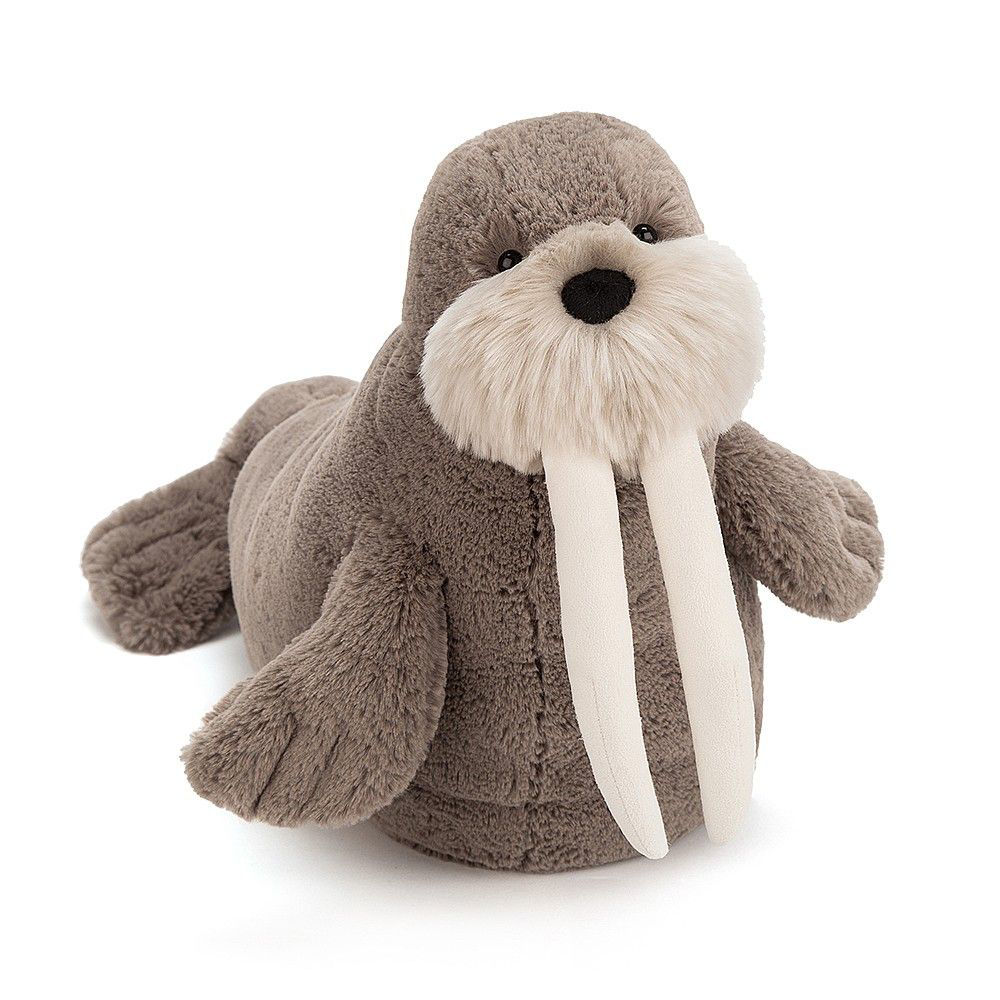 willie the walrus