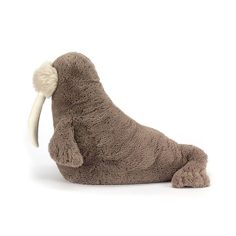 willie the walrus