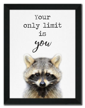 Picture of Animal Talk Racoon - 12" X 16