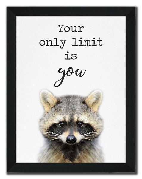 Picture of Animal Talk Racoon - 12" X 16