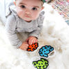 Picture of Brain Teether Green