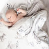 Picture of Cottontail Jersey Crib Sheet