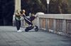 Picture of Spring Car Seat Adapter Nuna, Maxi Cosi, Cybex and Clek - Black | Thule