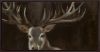 Picture of Chocolate Buck 30 X 60 | BFPK Artwork