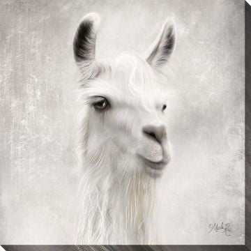 Picture of Louisa Llama 30" X 30" | BFPK Artwork