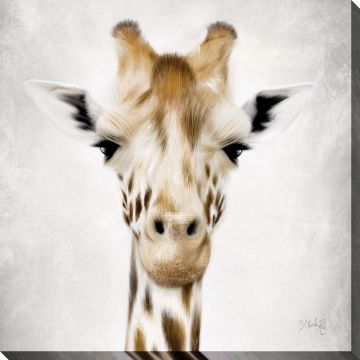 Picture of Gerald Giraffe 30" X 30" | BFPK Artwork