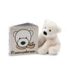 Picture of If I Were a Polar Bear Book