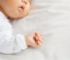 Picture of Crib Sheet - Cotton Percale - White
