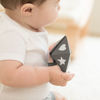 Picture of Gray Beginner Spinner | Bella Tunno
