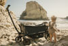 Picture of Veer Cruiser - wagon, stroller and carryall