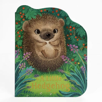 Picture of A Little Hedgehog Shaped Board book