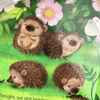 Picture of A Little Hedgehog Shaped Board book
