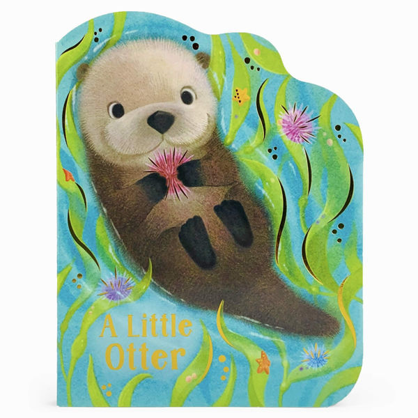 Picture of A Little Otter Shaped Board book