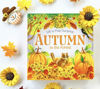 Picture of Autumn In The Forest Deluxe Lift-a-Flap & Pop-Up Seasons Board Book for Fall