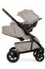 Picture of Tavo Next Stroller - Hazelwood - by Nuna