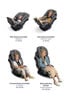 Picture of Nuna EXEC - All In One Carseat - Caviar