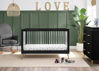 Picture of 3-In-1 Crib with Acrylic spindles in Black with Melted Bronze feet + Toddler conversion kit - from Delta