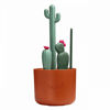 Picture of Cacti Brush Set | by Boon