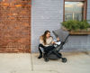 Picture of Minu V2 Stroller - Greyson - by Uppa Baby