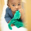 Picture of Dino Bubbi Buddy | by Bella Tunno