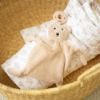 Picture of Bear Bubbi Buddy | by Bella Tunno