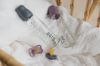 Picture of BIBS Bottle Nipple 2 PACK Latex Slow Flow