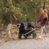 Picture of Bob Gear Renegade Wagon Nightfall Bundle With Black Canopies | By BOB Gear