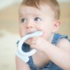 Picture of Dog Rattle Teether | BellaTunno