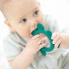 Picture of Frog Rattle Teether | BellaTunno