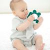 Picture of Frog Rattle Teether | BellaTunno