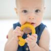 Picture of Monkey Rattle Teether | BellaTunno