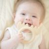 Picture of Moose Rattle Teether | BellaTunno