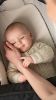 Picture of Triv & Swiv Bassinet & Stand - Caviar | Nuna