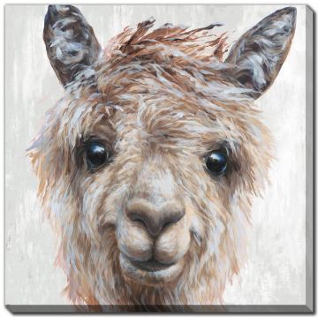 Picture of Alpaca II - 24" x 24" | BFPK Artwork