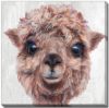 Picture of Alpaca III - 24" x 24" | BFPK Artwork