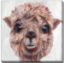 Picture of Alpaca III - 24" x 24" | BFPK Artwork