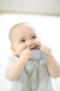 Picture of Assistant to the Manager Teether | Bella Tunno