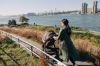 Picture of Uppa Baby Ridge Jogging and All Terrain Stroller -Theo (Dark Taupe on Carbon Frame)