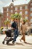 Picture of Swiv Compact Stroller - Biscoti  | Nuna