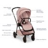 Picture of Triv Next + Pipa Aire Rx + Bassinet - Thistle | by Nuna