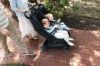 Picture of Minu Duo Bumper Bar - Black Leather | Uppa Baby