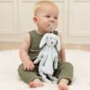 Picture of Pacifier Buddy Danny the Dog | Bella Tunno