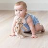Picture of Pacifier Buddy Bernie the Bear | Bella Tunno